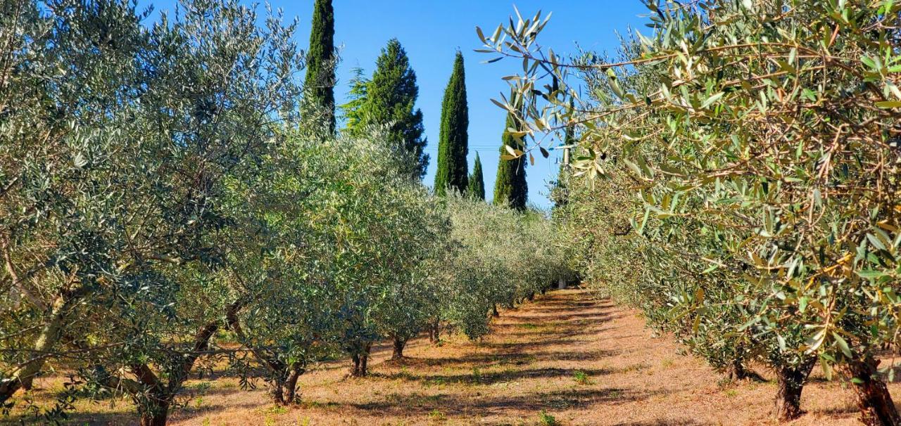 La Volpaia 1521 Villa Barberino di Val dʼElsa Buitenkant foto